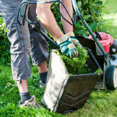 5 easy ways to care for your lawn