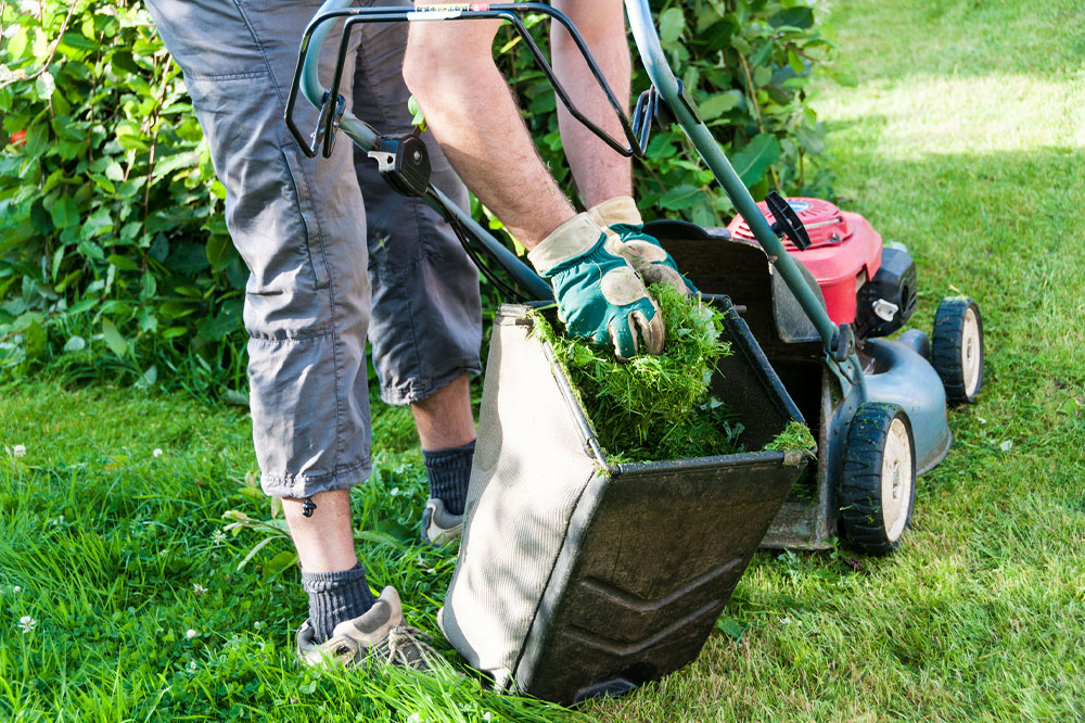 5 easy ways to care for your lawn